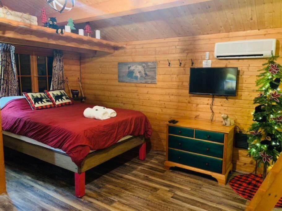 Honeybear Hideaway Cabin Hayward Bagian luar foto