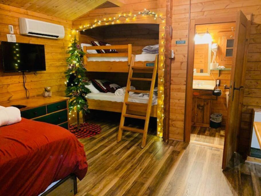 Honeybear Hideaway Cabin Hayward Bagian luar foto