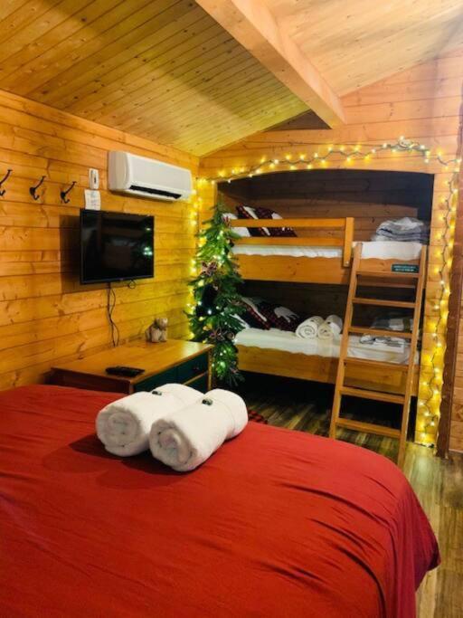 Honeybear Hideaway Cabin Hayward Bagian luar foto