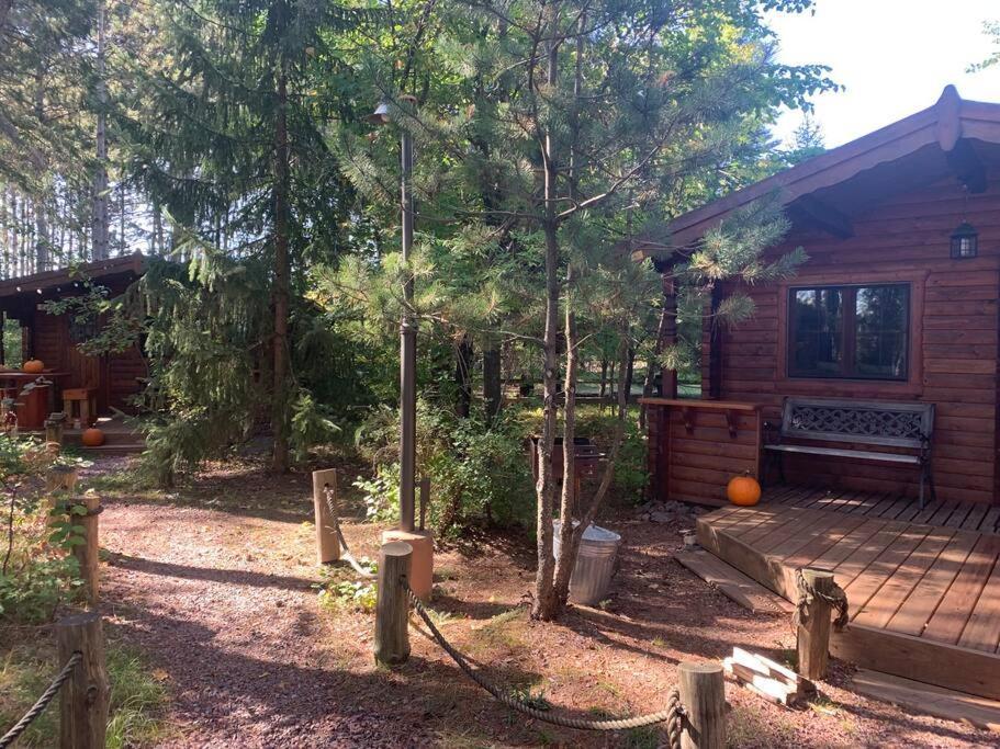 Honeybear Hideaway Cabin Hayward Bagian luar foto