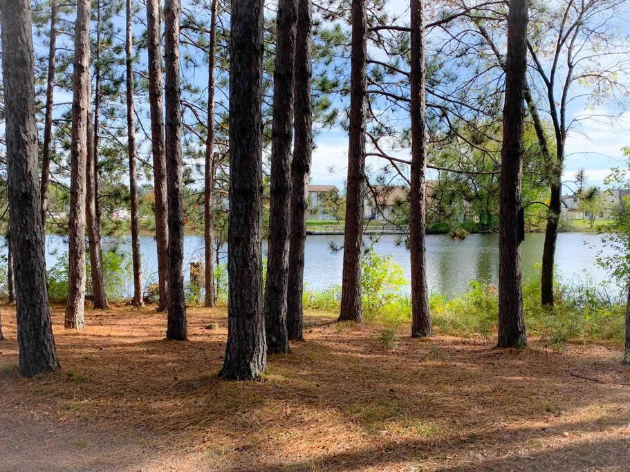 Honeybear Hideaway Cabin Hayward Bagian luar foto