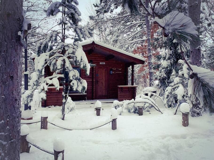 Honeybear Hideaway Cabin Hayward Bagian luar foto