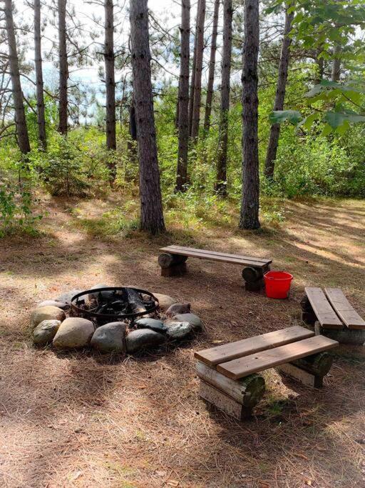 Honeybear Hideaway Cabin Hayward Bagian luar foto