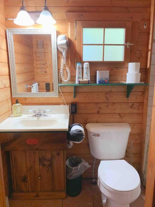 Honeybear Hideaway Cabin Hayward Bagian luar foto