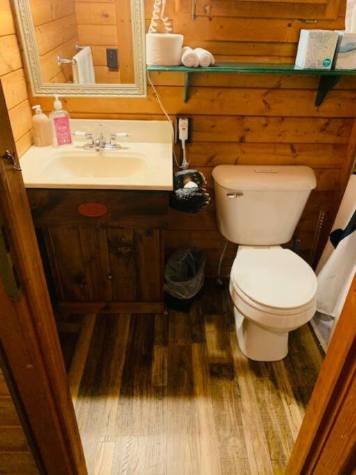 Honeybear Hideaway Cabin Hayward Bagian luar foto
