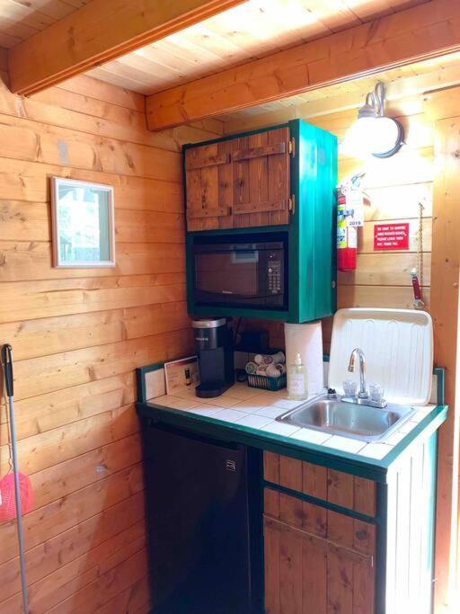 Honeybear Hideaway Cabin Hayward Bagian luar foto