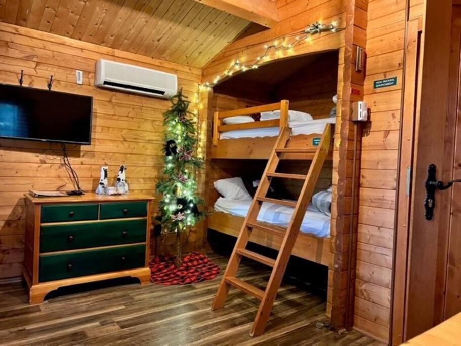 Honeybear Hideaway Cabin Hayward Bagian luar foto
